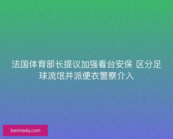 法国体育部长提议加强看台安保 区分足球流氓并派便衣警察介入